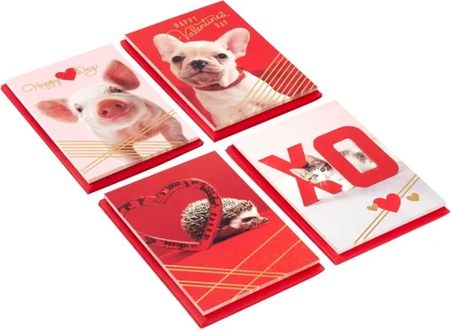Vista 3 de Hallmark Tarjetas de San Valentín para la escuela, cachorro, gatito, cerdo, erizo (24 aulas de San Valentín con sobres)