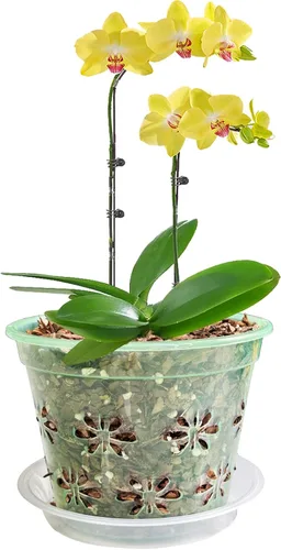 Vista 3 de Maceta de orquídeas, paquete de 8 macetas de orquídeas de 4 pulgadas con agujeros y platillos, verde transparente