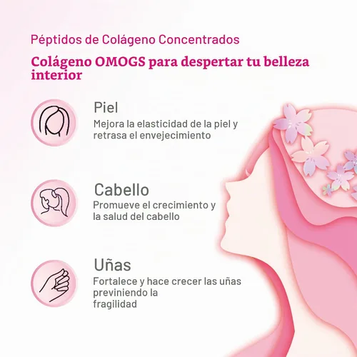 Vista 4 de OMOGS Cápsulas de Péptidos de Colágeno, Colágeno Hidrolizado de Origen Natural con Prebiótico y Extracto de Arándano - Cabello, Piel, Uñas