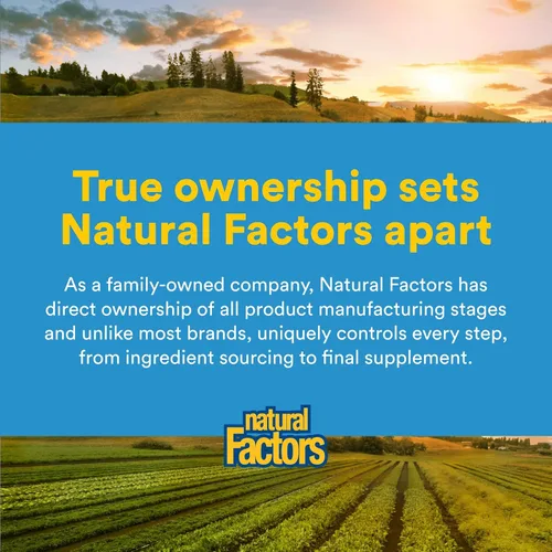 Vista 7 de Natural Factors Acetil L-Carnitina 500 miligramos, 60 Cápsulas Vegetarianas