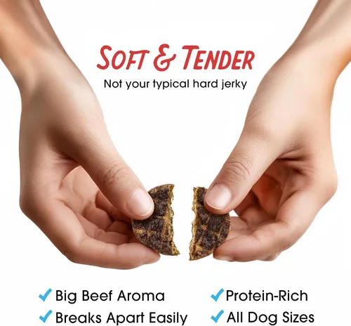Vista 6 de Dulces de carne seca de res que a los perros de Farmland Traditions les encantan con solo 3 ingredientes y sin rellenos, bolsa de 5 onzas Made in