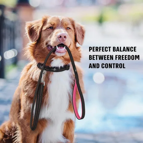 Vista 7 de Active Pets Correa fuerte para perro con mango acolchado, agarre cómodo y duradero para perros grandes y medianos, correa de entrenamiento ajustable