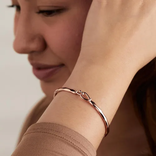 Vista 3 de Alex and Ani Pulsera de tensión de gancho facetado Dorado brillante