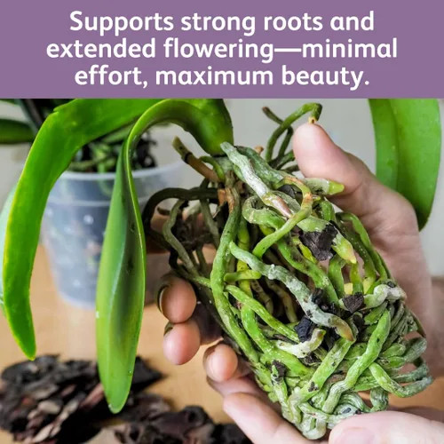 Vista 7 de Chrysal Gotas de Alimento para Orquídeas — Cuidado de Orquídeas — Un Paquete para un Suministro de un Año — Alimento Floral Concentrado para Todas