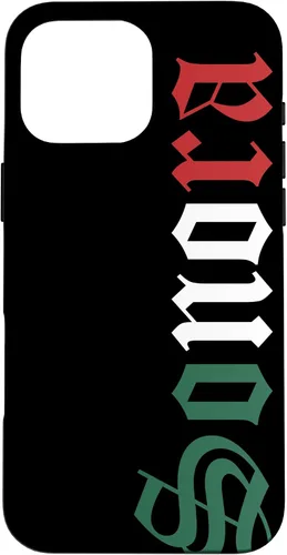Vista 19 de Sonora Mexico Mexican Flag State Estado Case for iPhone 16