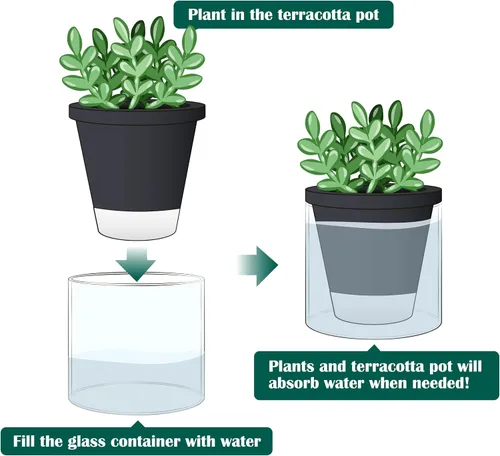 Vista 5 de D'vine Dev Maceta de Diseño de Riego Automático de 4 Pulgadas para Plantas de Interior, Maceta de Terracota Negra con Vaso Cilíndrico de Vidrio