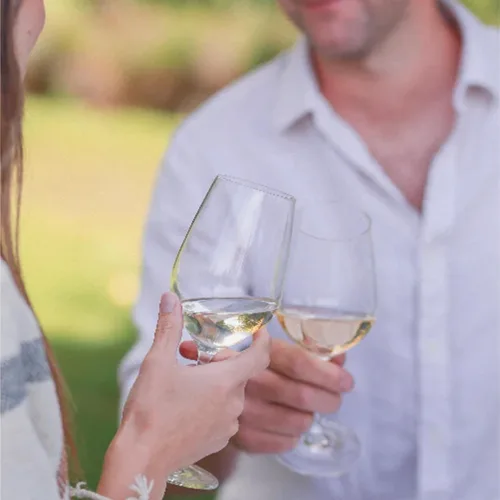 Vista 4 de Giesen Pinot Grigio Premium sin alcohol - Vino blanco desalcoholizado premium Pinot Gris de Nueva Zelanda