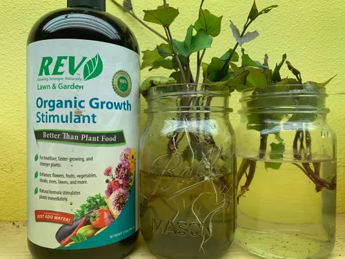Vista 7 de Organic REV - Alimento vegetal natural de 32 onzas para plantas más saludables