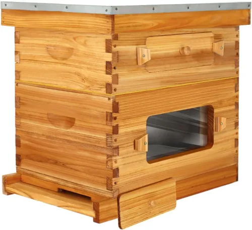 Vista 9 de BeeCastle Colmena Langstroth de 10 marcos con ventanas, colmena de abejas recubierta con cera de abejas para principiantes con marcos de colmena