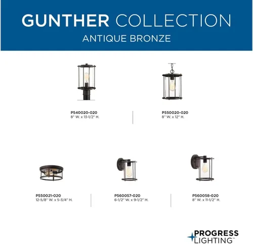 Vista 4 de Progress Lighting P560057-020 Gunther Outdoor, Bronce 9.5x6.5x6.5