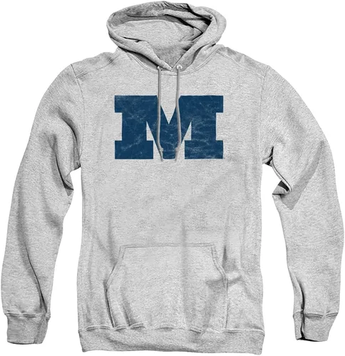 Vista 56 de Distressed College Primary Logo Adult Pullover Hoodie Collection 1 Universidad Estatal de Albany