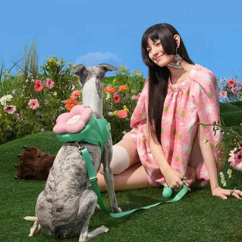 Vista 7 de VETRESKA Flora - Juego de arnés para perro, correa y collar, arnés de chaleco para perro sin tirones para caminar y entrenar, ajustable, fácil