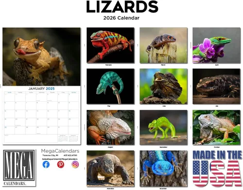 Vista 298 de Calendario de grises africanos 2025 2026 – Planificador mensual de pared de aves africanas – 12 x 18 pulgadas (abierto), calendario de pared