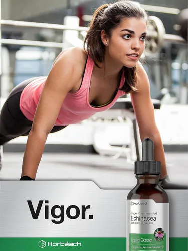Vista 7 de Horbaach Echinacea Drops Herb Tintura 2 fl oz Extracto de raíz súper concentrado Líquido sin alcohol Suplemento vegetariano, sin OMG y sin