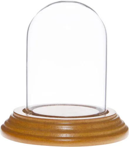 Vista 5 de Plymor 2" x 3" Mini cristal Display Dome Cloche (base de chapa de madera negra)