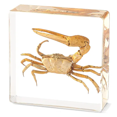 Vista 9 de Murciélago de taxidermia real en resina, animales de taxidermia para exhibición gótica en el hogar, rarezas y curiosidades, regalos