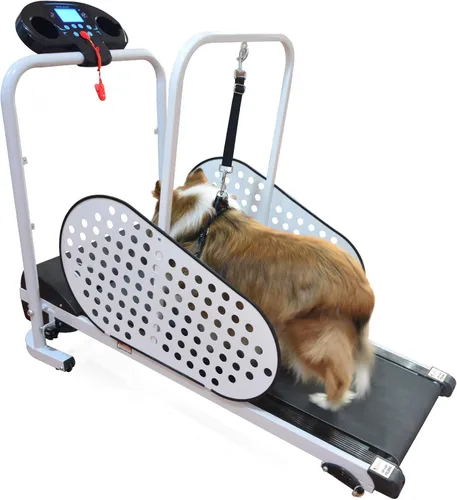 Vista 4 de Shelandy Cinta de correr para mascotas Cinta de correr inteligente y motorizada para perros pequeños y medianos