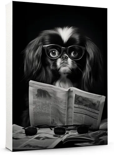 Vista 192 de Thuan Affenpinscher - Póster de lienzo con tus fotos, arte de pared para decoración del hogar, regalo conmemorativo para amantes de las mascotas