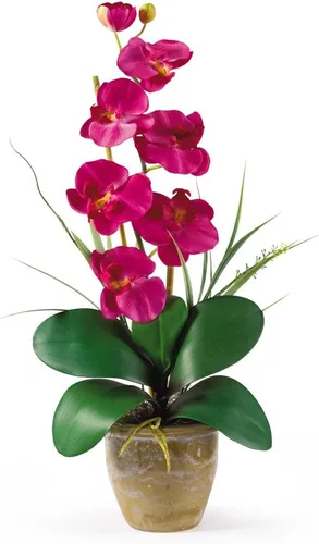 Vista 4 de Nearly Natural 1016-GY Phalaenopsis - Arreglo floral de orquídea de seda, amarillo, 9x6x21