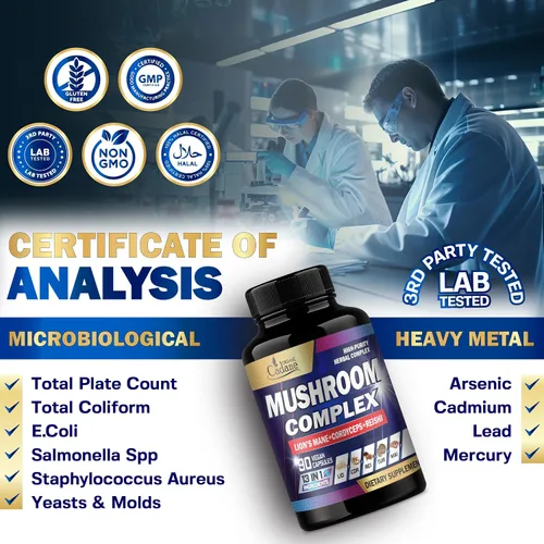 Vista 7 de Organic Cadane Suplementos de complejo de hongos – Salud cerebral, sistema inmunológico, memoria y producción de energía – 13 en 1 con hongos melena