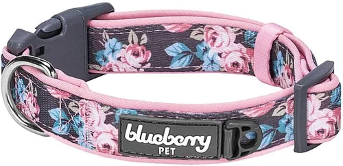 Vista 22 de Blueberry Pet - Collar ajustable para perro con forma de diamantes tribales del sudoeste en francés rosa con hebilla de metal, cuello 9-12.5