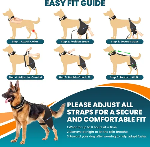Vista 6 de Rodillera para perro para desgarro de ACL para pierna trasera con compresa caliente/fría, soporte ajustable para cadera de perro para desgarro