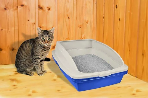 Vista 2 de Caja de desperdicios para gatos con filtro Van Ness CP5 con marco, colores surtidos.