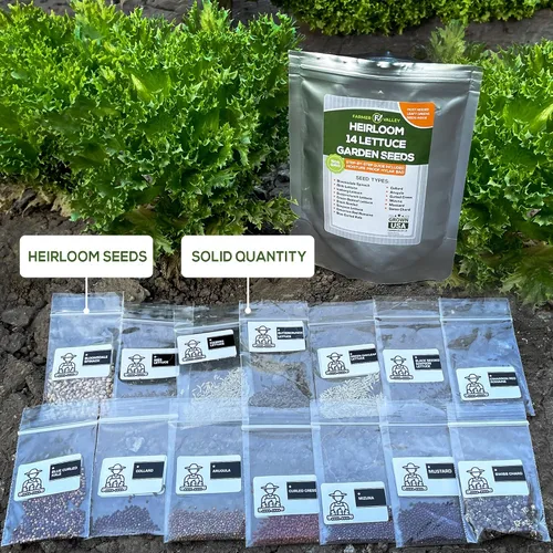 Vista 4 de Semillas de jardín de lechuga y ensalada para plantar, más de 6400 semillas de verduras cultivadas en Estados Unidos sin OMG para cultivo doméstico