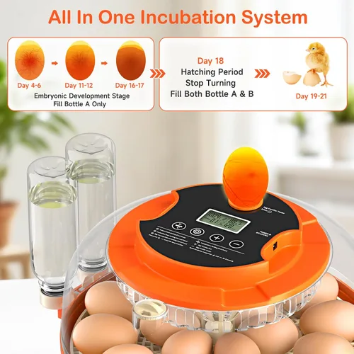 Vista 7 de 18 incubadoras de huevos para incubar huevos, incubadora automática de giro de huevos y control de humedad para eclosionar pollo, pato, codorniz