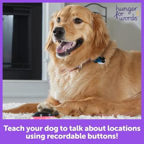 Vista 2 de Hunger For Words Talking Pet Next Words Locations - Juego de 3 botones de voz grabables para perros, botones de comunicación para perros
