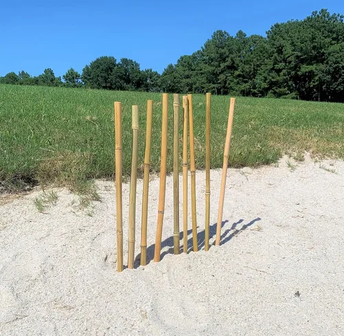 Vista 3 de Postes de bambú natural, estacas de jardín ecológicas de soporte para plantas, 16 pulgadas de largo (20 unidades)