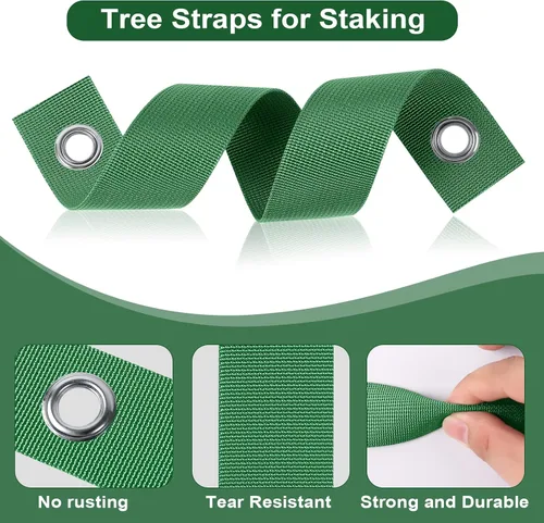 Vista 4 de Jevrench 12 PCS Correas para Árboles para Estacado, Correas de Soporte para Árboles para Atirantar Plantones Recién Plantados y Mantenerlos Rectos