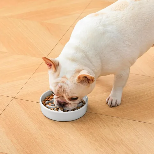 Vista 7 de vancasso Recipientes de alimentación lenta para perros de cerámica, cuencos de comida para perros con rompecabezas y laberinto floral, plato Gris