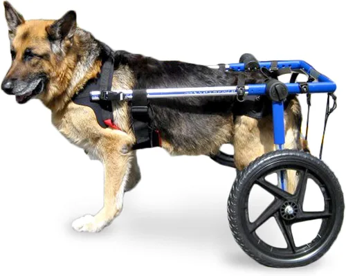 Vista 9 de Walkin' Wheels Silla de ruedas para perros, para perros grandes, de 70 a 180 libras, aprobada por veterinarios, silla de ruedas para perros