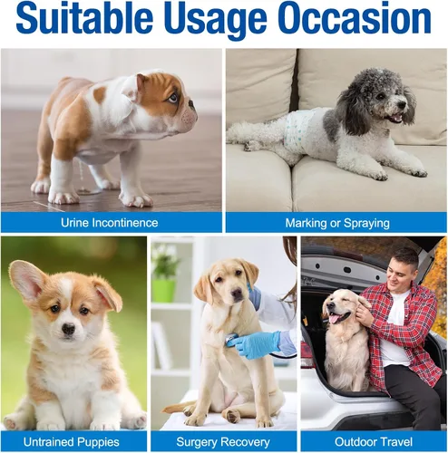 Vista 6 de Pañales Pet Soft para perro, desechables, para perros macho, xs