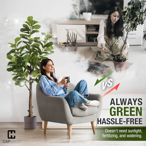 Vista 4 de CAPHAUS Árbol de higuera artificial de hoja de violín, 6/7 pies en maceta con musgo seco, para casa, oficina, tienda, árbol sintético de ficus
