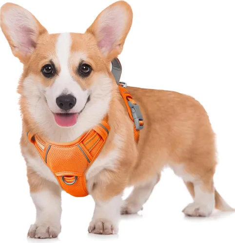 Vista 48 de BARKBAY Arnés para Perro Sin Tirones Talla Grande Arnés Reflectante para Perro con Clip Frontal y Asa de Control Fácil para Caminar Entrenar Correr