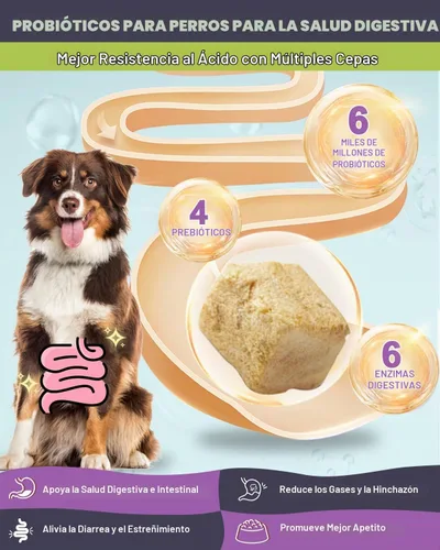Vista 3 de NATURE TARGET Probióticos para perros, sabor a salmón, 120