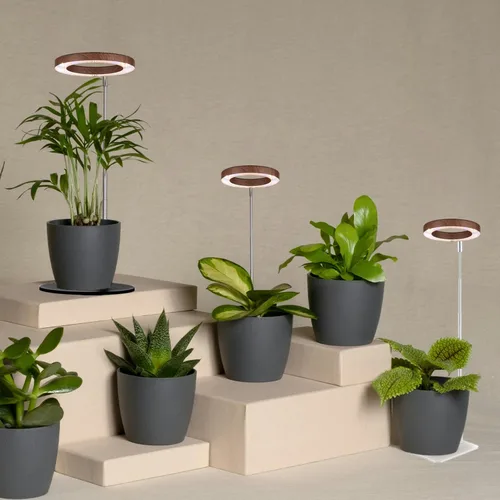 Vista 7 de yadoker 72 LEDs Luz de cultivo de plantas para plantas de interior, Luz de escritorio de aluminio con grano de madera de nogal LED, Altura