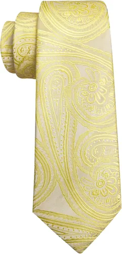 Vista 22 de Barry.Wang - Juego de corbata de seda para hombre, diseño de cachemira, pañuelo y gemelos de bolsillo