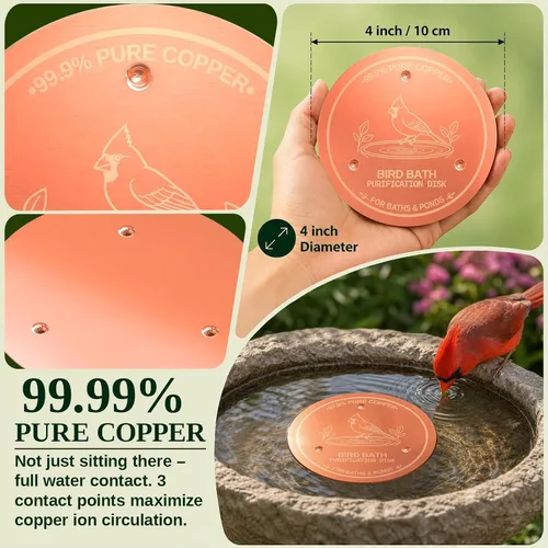 Vista 6 de Disco de cobre para baño de pájaros, 99.9% de cobre puro