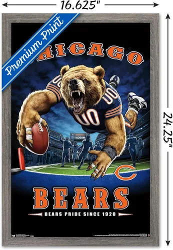 Vista 3 de Trends International NFL Chicago Bears - Póster de pared de End Zone 17, 14.725 x 22.375 pulgadas, versión enmarcada de madera de granero