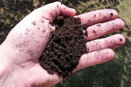 Vista 3 de Earth Science Fundición de lombrices de tierra, 3 libras, fertilizante para plantas de interior y exterior - Potenciador de suelo para huertos