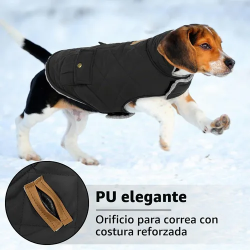 Vista 5 de Queenmore - Abrigo de invierno impermeable para perro, chaqueta acolchada Negro