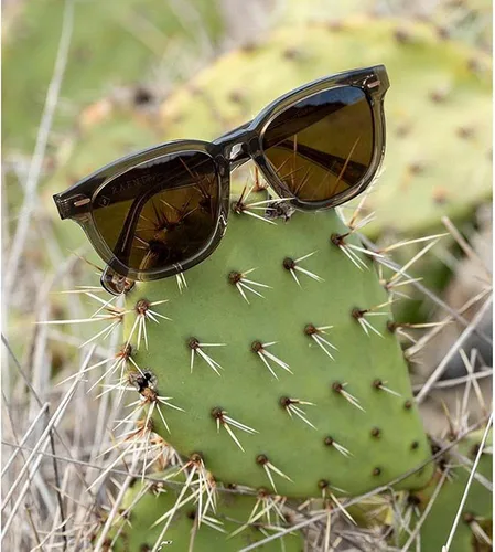 Vista 3 de RAEN Optics Myles 53