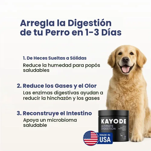 Vista 5 de Kayode Digestión definitiva. Antidiarrea de acción rápida para perros. Remedio para pedos para perros y alivio de gases para perros. Nutrientes