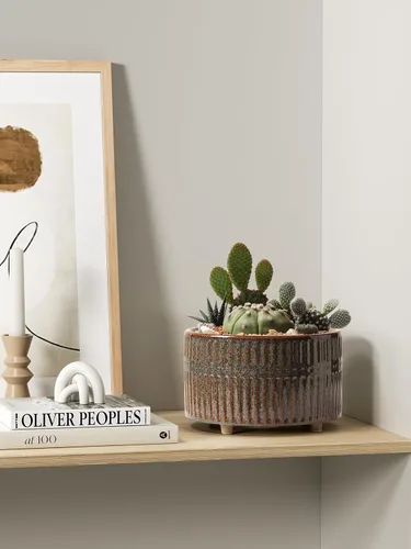 Vista 4 de LE TAUCI Macetas para suculentas, macetas de cerámica de 6.5+8 pulgadas para plantas de interior, macetas redondas poco profundas para suculentas