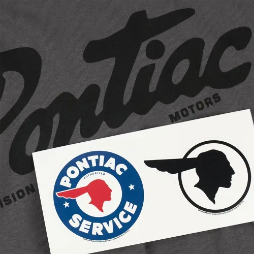 Vista 6 de Chief Pontiac General Motors Logo T Shirt Stickers