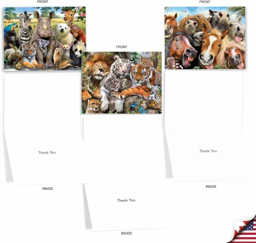 Vista 2 de The Best Card Company - 10 tarjetas de felicitación de agradecimiento de vida silvestre con sobres, papel de notas en caja de animales lindos - Aquí