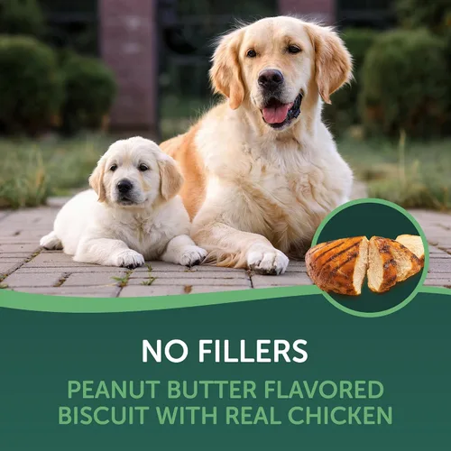Vista 5 de HEALTHFULS Galletas para perros con sabor a pollo y mantequilla de maní, 16 onzas, (paquete de 2)